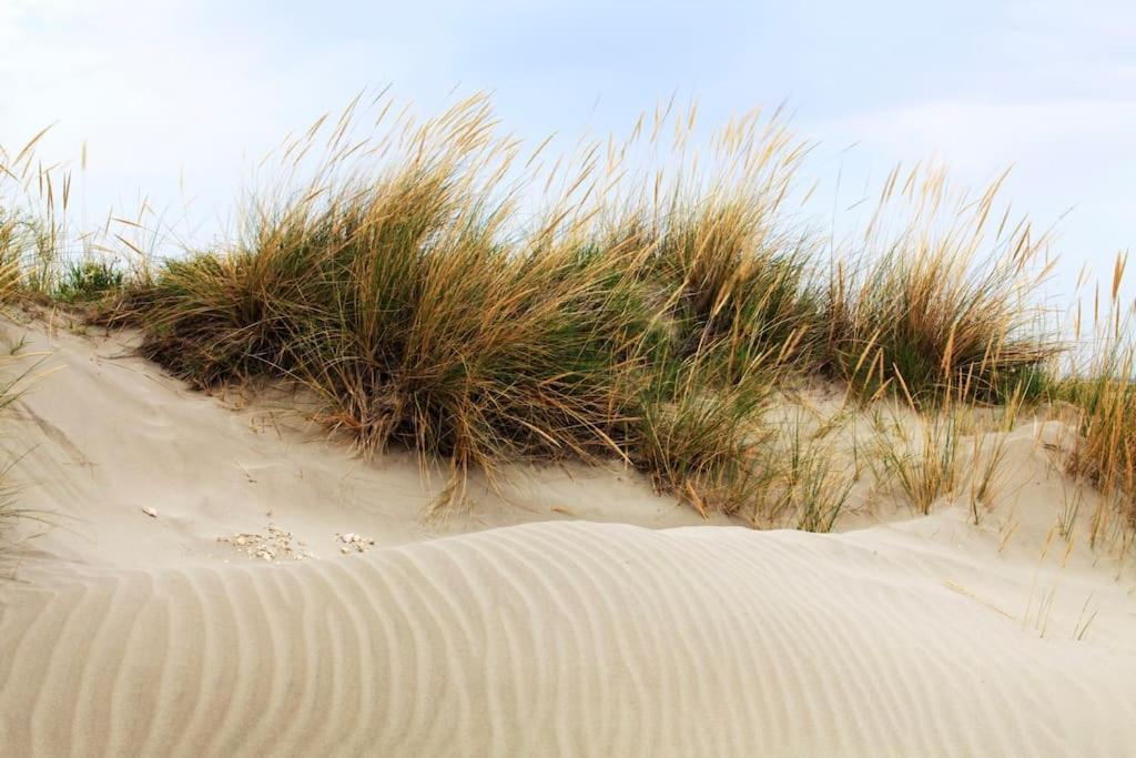 Chaleureux Niche Au Coeur Des Salins *