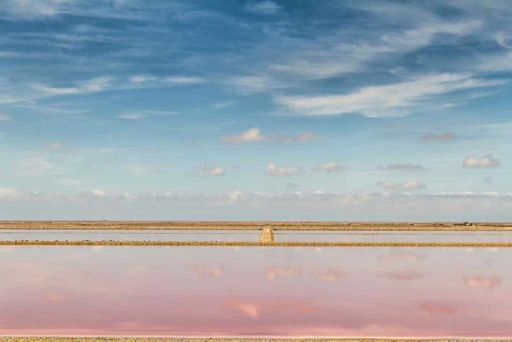 Chaleureux Niche Au Coeur Des Salins Arles